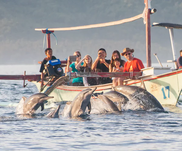 paket-tour-lovina-dolphin-tour-67ff4ef5b3b80